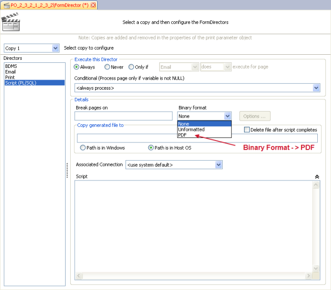 Setting binary format to PDF